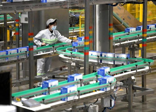 吳忠綠色食品產(chǎn)業(yè)砥礪奮進 再創(chuàng)佳績